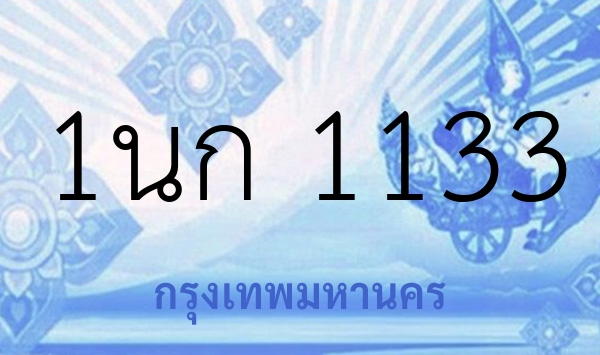 1นก 1133